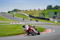 anglesey;brands-hatch;cadwell-park;croft;donington-park;enduro-digital-images;event-digital-images;eventdigitalimages;mallory;no-limits;oulton-park;peter-wileman-photography;racing-digital-images;silverstone;snetterton;trackday-digital-images;trackday-photos;vmcc-banbury-run;welsh-2-day-enduro